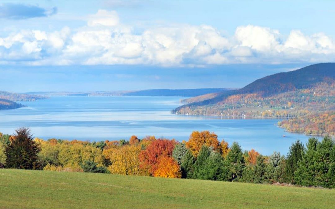 Frolicking in the Finger Lakes