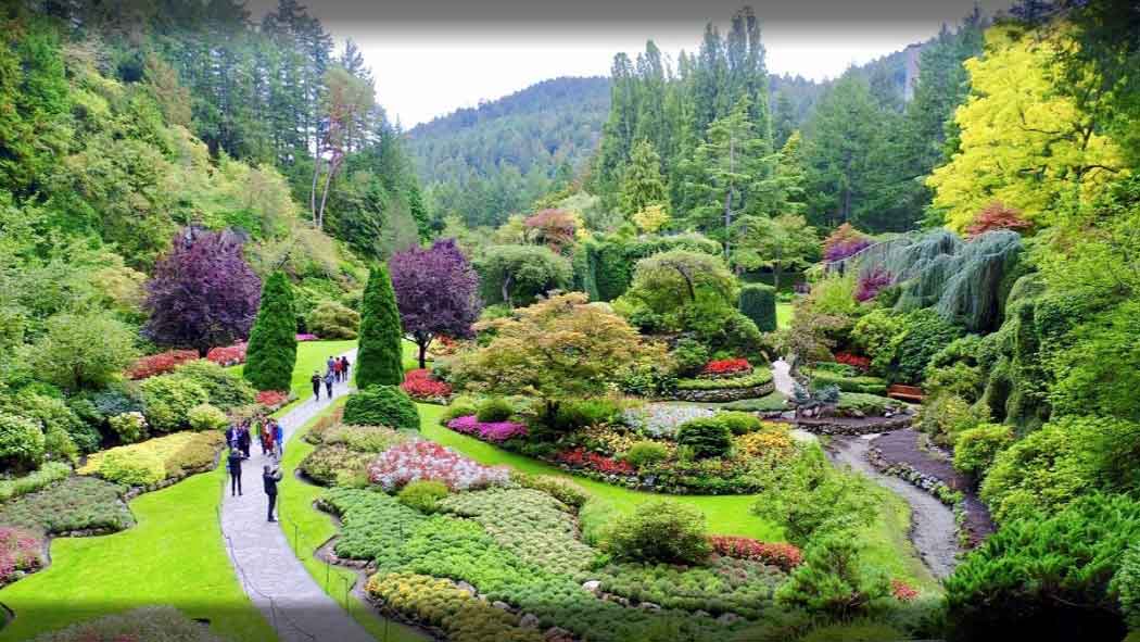 Blossoms and Beauty: Gardens of Vancouver and Victoria