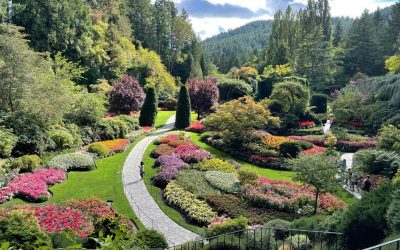 Blossoms and Beauty: Gardens of Vancouver and Victoria