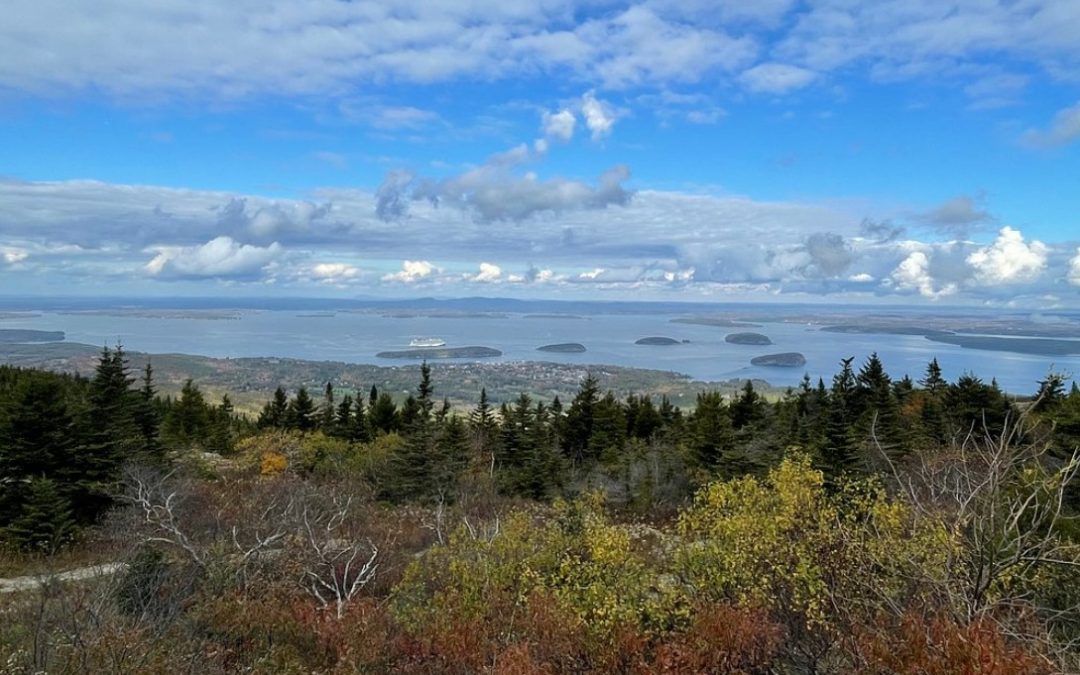 Gardens and Coastlines: a Maine Adventure